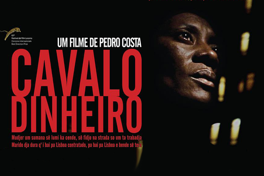 Cavalo dinheiro