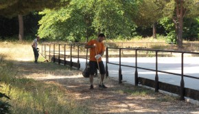 parco brin