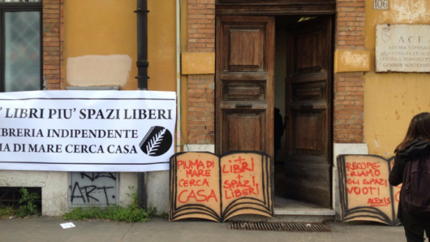 piuma di mare