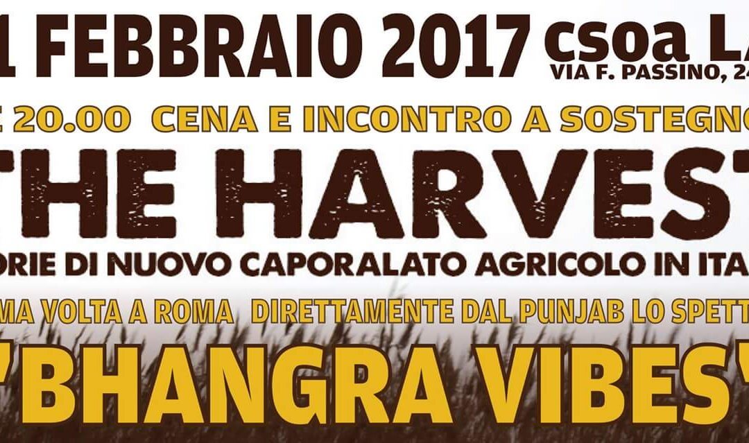 The Harvest – Storie di nuovo Caporalato Agricolo in Italia
